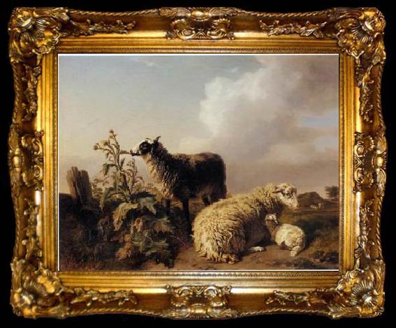 framed  unknow artist Sheep 150, ta009-2